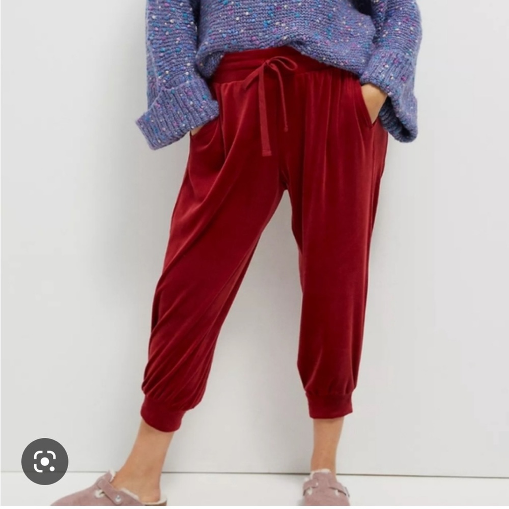Anthropologie Merida Velvet Drawstring Joggers M
